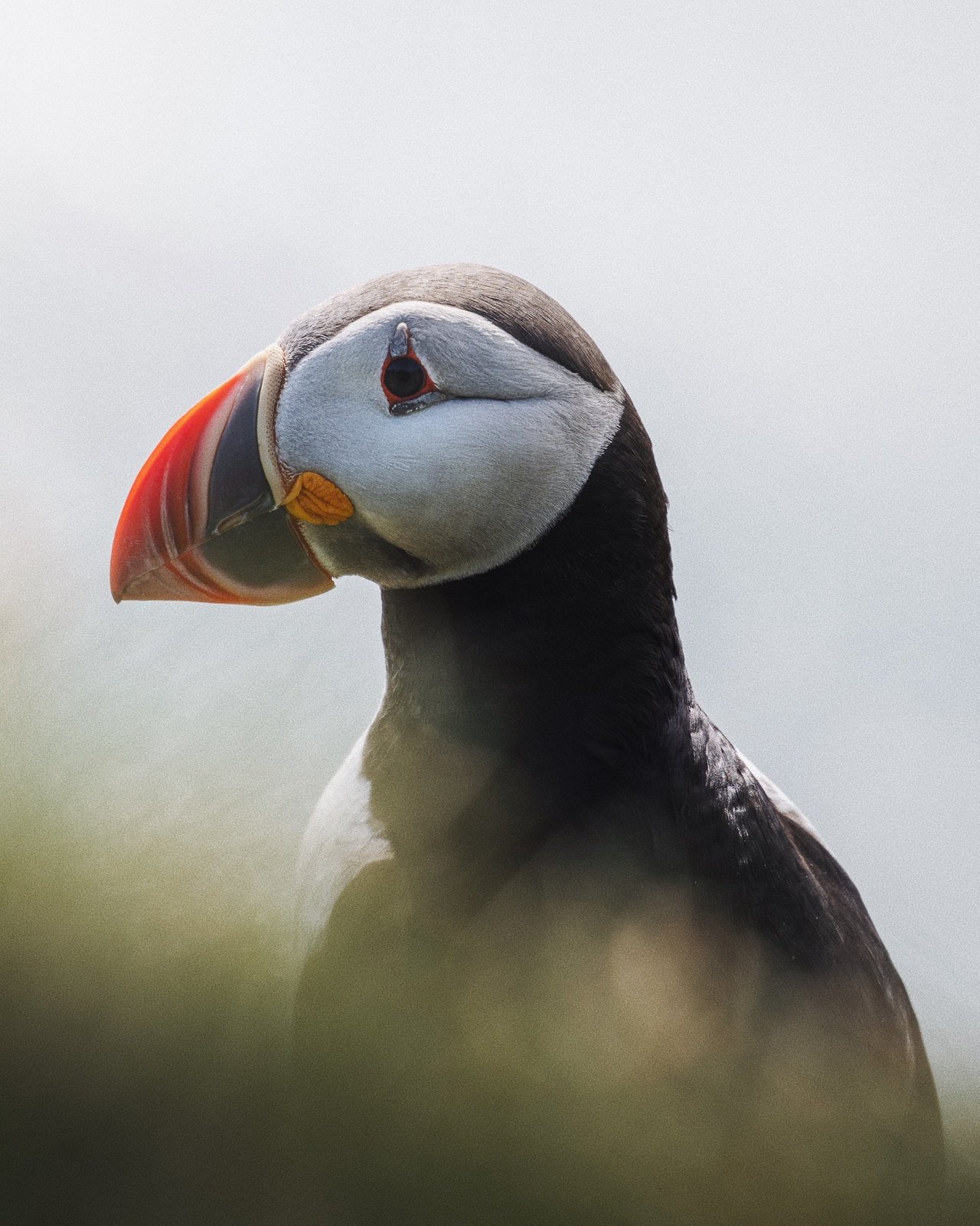 Mynd: Patrick Monatsberger | @moners