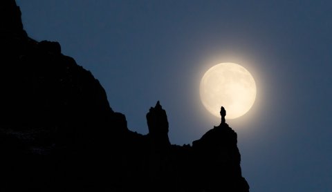 Bergur standing tall in the moonlight. Photographer: Kristinn Heiðar Fjölnisson.